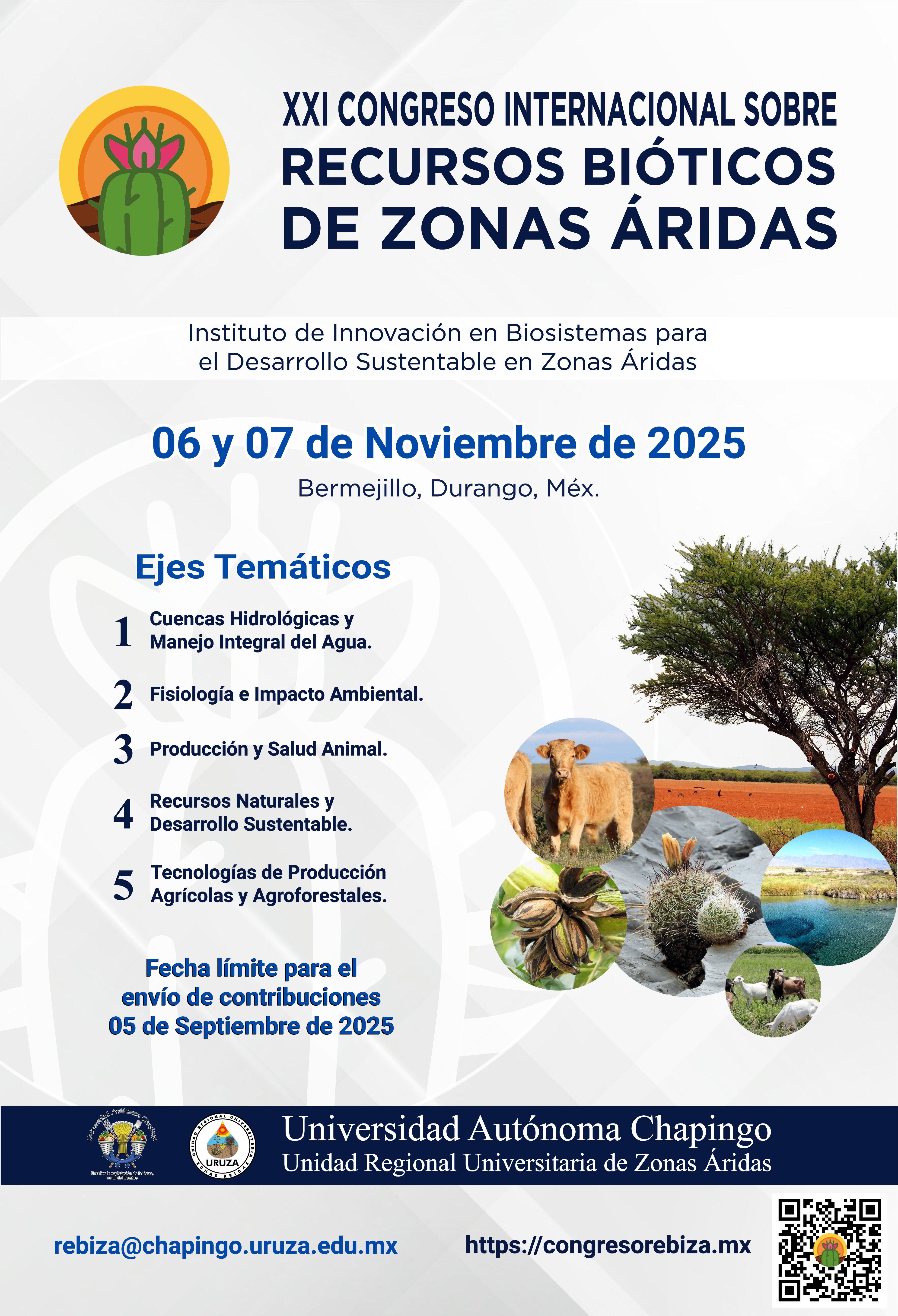 PosterRBZ25x61.jpg